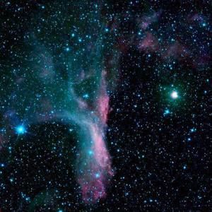 Meet your Posher, Rod